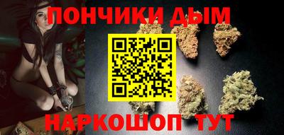 крисы Гай