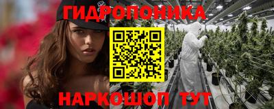 крисы Гай