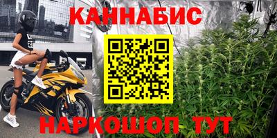 крисы Гай