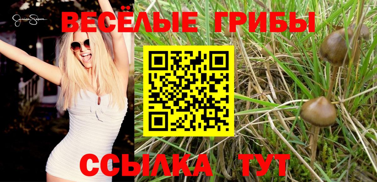 Галлюциногенные грибы GOLDEN TEACHER Нефтеюганск