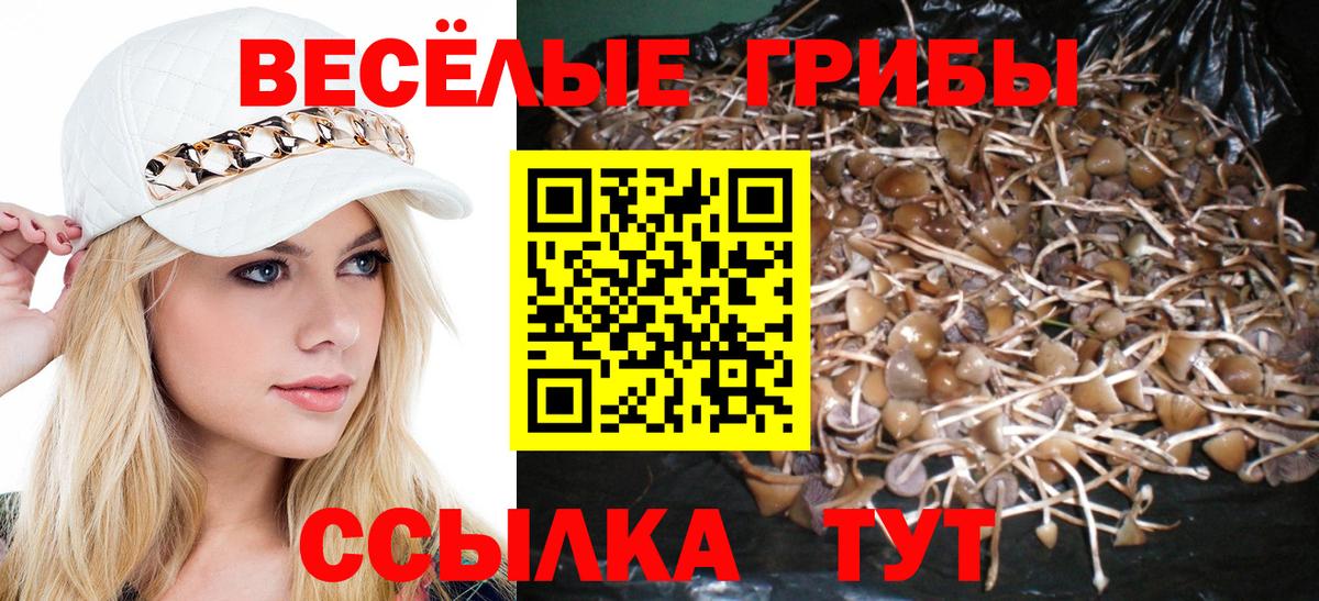 Псилоцибиновые грибы GOLDEN TEACHER  Вход с VPN  Нефтеюганск 